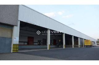 Gewerbeimmobilie mieten in 71139 Ehningen, Logistikhalle in Ehningen