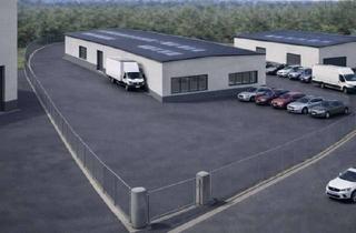 Gewerbeimmobilie kaufen in 64686 Lautertal, Gewerbehalle 5500qm zu verkaufen