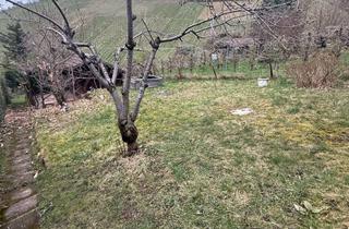 Grundstück zu kaufen in 70327 Rotenberg, * AM ROTENBERG * Gartengrundstück mit Häußchen auf ca. 542 qm: Stellplatz + eingezäunt+ anfahrbar!