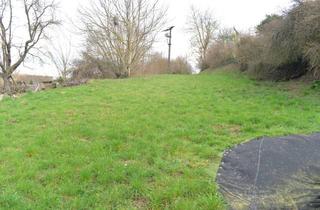 Grundstück zu kaufen in 74229 Oedheim, Zwei nebeneinanderliegende Bauplätze in toller Lage!