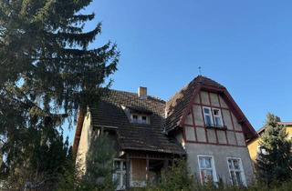 Immobilie kaufen in Straße 122, 12623 Berlin, Sehr großes Baugrundstück im Mischgebiet mit Abrissobjekt in Berlin-Mahlsdorf