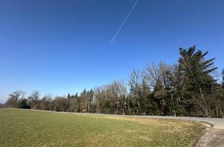 Immobilie kaufen in 94113 Tiefenbach, Waldgrundstück bei Tiefenbach