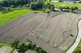 Immobilie kaufen in 85368 Moosburg, Hochwertiges Acker- und Grünlandpaket in Moosburg a. d. Isar