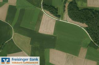 Immobilie kaufen in 85414 Kirchdorf, Ertragreiche Ackerfläche im Ampertal - Gemarkung Kirchdorf a. d. Amper