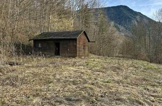 Immobilie kaufen in 82441 Ohlstadt, Absolut seltenes Freizeitgrundstück am Waldrand mit Panoramablick