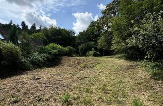 Immobilie kaufen in 64405 Fischbachtal, Großzügig. Ruhig. Zukunftssicher. Baugrundstück in schöner Lage im Fischbachtal