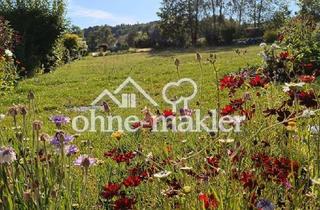 Lager kaufen in 95138 Bad Steben, Einmalige Gelegenheit traumhaftes Baugrundstück in Bad Steben