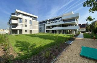 Wohnung mieten in Stiegelstraße 26, 71701 Schwieberdingen, Neubau-Erdgeschosswohnung mit Garten und EBK in Schwieberdingen