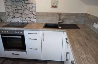 Wohnung mieten in 69226 Nußloch, Schöne großzügig geschnittene 1 Zimmerwohnung in Nußloch