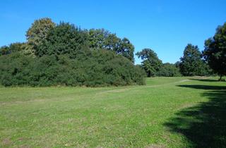 Haus kaufen in 25495 Kummerfeld, KUMMERFELD: BAUGRUNDSTÜCK MIT POTENTIAL