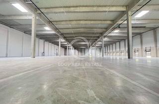 Gewerbeimmobilie mieten in 46049 Lirich-Nord, Logistik/Produktion | bis 15 m Deckenhöhe | Rampen | provisionsfrei