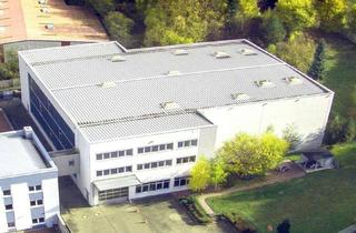 Büro zu mieten in 63571 Gelnhausen, Lager + Fertigung + Büro - vielfältige Nutzung - top ausgestattet - verkehrsgünstig an der A66