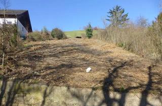 Grundstück zu kaufen in Am Sonnenhang, 55413 Oberheimbach, Aus dem Trubel raus – rein in die Idylle und Natur - Leben auf der Sonnenseite