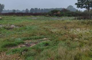 Grundstück zu kaufen in 21423 Winsen, Baugrundstück in idyllischer Lage nahe Winsen an der Luhe