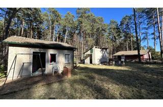 Grundstück zu kaufen in 15864 Wendisch Rietz, Idyllisches, renovierungsbedürftiges Grundstück nur 1 km vom malerischen Scharmützelsee entfernt.