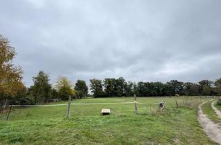 Gewerbeimmobilie kaufen in 19322 Weisen, Attraktives Grundstück in Weisen/Prignitz