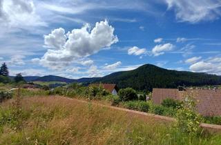 Wohnung kaufen in 72270 Baiersbronn, Wohnung mit TG Stellplatz in Baiersbronn