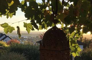 Wohnung mieten in 64823 Groß-Umstadt, Maisonette Wohnung auf dem Herrnberg in 2 Parteienhaus