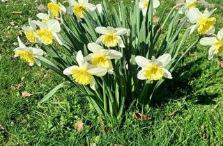 Wohnung mieten in 48324 Sendenhorst, Wohnen auf Zeit am Stadtrand von Münster