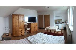 Wohnung mieten in Frühlingsstraße 14, 89359 Kötz, Gepflegtes möbliertes 1-Zimmer-Appartement mit EBK