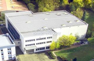 Büro zu mieten in 63571 Gelnhausen, Lager + Fertigung + Büro - vielfältige Nutzung - top ausgestattet - verkehrsgünstig an der A66