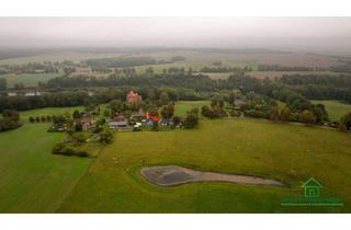 Einfamilienhaus kaufen in Seestraße 11, 19205 Mühlen Eichsen, Modernes effizientes Einfamilienhaus mit Garten