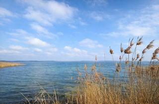 Haus kaufen in 16247 Joachimsthal, Ferienhaus am Grimnitzsee – naturnahe Erholung in ruhiger und begehrter Seenlage