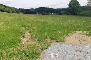 Grundstück zu kaufen in 94169 Thurmansbang, Wohnen und leben wo andere Urlaub machen im staatlich anerkannten Luftkurort 94169 Thurmansbang