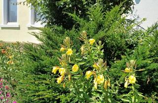 Immobilie mieten in 44797 Stiepel, Schicke, ruhige Wohnung in Top Uni Lage am Bach m. Gartennutz.