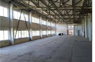 Gewerbeimmobilie kaufen in 08262 Muldenhammer, 16.000 qm **Gewerbegrundstück in Sachsen - mit Altbestand