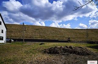 Grundstück zu kaufen in Mittweidaer Straße, 09669 Frankenberg, Baugrundstück mit Waldstück in Frankenberg-Sachsenburg