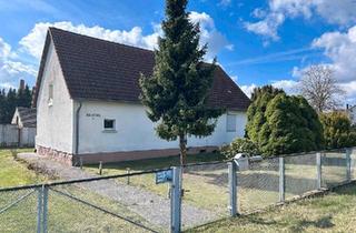 Einfamilienhaus kaufen in 39291 Möckern, Möckern - Einfamilienhaus mit grossem Grundstück in Hohenziatz