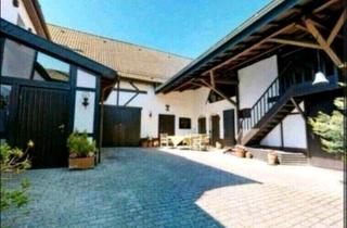 Haus kaufen in 53947 Nettersheim, Nettersheim - Mehrfamilien-Hof mit 4 Einheiten & Potenzial