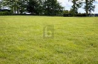 Grundstück zu kaufen in 18279 Lalendorf, Lalendorf - NATUR PUR - TRAUMHAFTE LAGE AM FELDRAND