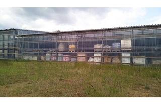 Haus kaufen in 19300 Grabow, Grabow - BAUMARKT GEWERBEGRUNDSTÜCK 6.643 qm VERKAUFS- LAGERHALLE BAUPLATZ