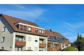 Wohnung kaufen in 37441 Bad Sachsa, VON PRIVAT. Renovierte, lichtdurchflutete 1-Raum Wohnung in Bad Sachsa