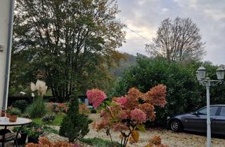 Wohnung mieten in Steinhadter Str 96, 55566 Bad Sobernheim, Vollmöbelierte Wohnung direkt im Natur für Naturliebhaber