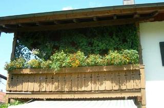 Wohnung mieten in Riegerweg 14, 83624 Otterfing, Schöne, geräumige zwei Zimmer Wohnung in Miesbach (Kreis), Otterfing