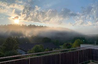 Wohnung mieten in 35619 Braunfels, Exklusive und barrierefreie Dachgeschosswohnung im wunderschönen Braunfels