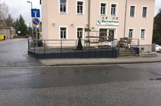 Wohnung mieten in Am Weinberg, 01458 Ottendorf-Okrilla, möbliertes geschmackvolles Appartement im Souterrain mit Küche in Ottendorf-Okrilla