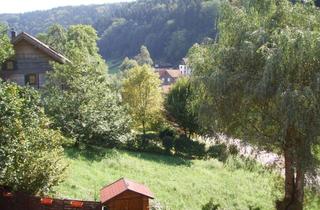 Wohnung mieten in Brombacher Straße 18, 69434 Hirschhorn, 5-Zimmer Wohnung mit großer Dachterasse in Eberbach (Brombach)