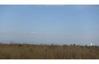 Penthouse mieten in Lerchenstraße, 63150 Heusenstamm, Penthouse-Wohnung mit Skyline- und Taunusblick