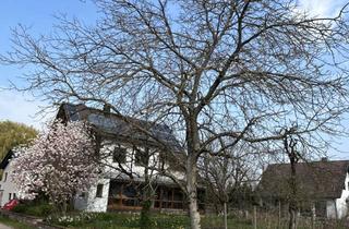 Einfamilienhaus kaufen in 77855 Achern, Einfamilienhaus mit Garage in Achern-Fautenbach