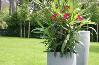 Grundstück zu kaufen in Am Nordgraben, 13509 Tegel, idyllisches Grundstück am Nordgraben