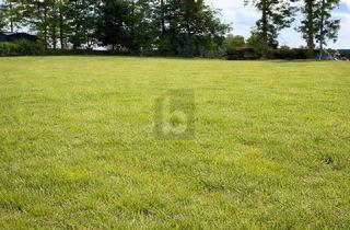 Grundstück zu kaufen in 18279 Lalendorf, NATUR PUR - TRAUMHAFTE LAGE AM FELDRAND