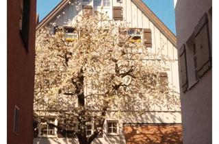 Wohnung kaufen in 88239 Wangen, Moderne 2‑Zimmer Maisonette im 3. OG mit Tiefgarage in Wangen im Allgäu