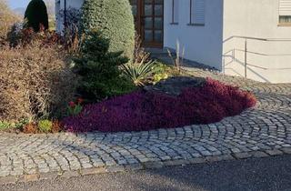 Wohnung mieten in 73574 Iggingen, Großzügige helle 4,5-Zimmer-Wohnung mit separatem Eingang am Ortsrand in Iggingen.