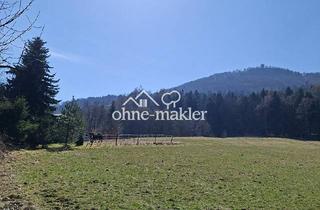 Haus kaufen in 02799 Waltersdorf, Wohnen wo andere abschalten-Haus mit Blick auf die Lausche in traumhafter Naturlage