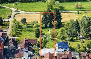 Mehrfamilienhaus kaufen in 63791 Karlstein, Raum für Visionen direkt am Main – Mehrfamilienhaus mit Hallen und Baugrundstück