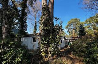 Haus mieten in Amselsteg, 15712 Königs Wusterhausen, Im Einklang mit der Natur - Grundstück mit Bungalow und Carport in der Nähe von Königs Wusterhausen